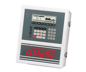 DigitalFlow GM868 - General Purpose Gas Ultrasonic Flowmeter