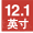 12.1Ӣ